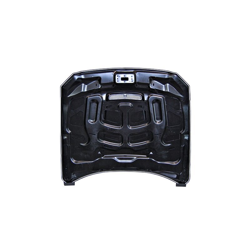 Capot Ford Mustang 2015-2017 look GT350 - MS accessoires Auto